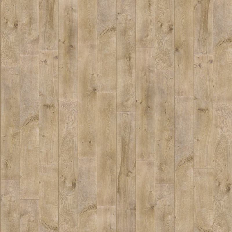 Studio + Spill Repel Aged Hickory 12-Mm T X 7-In W X 48-In L Waterproof Laminate Wood Flooring ( 19.63-Sq Ft / Carton )