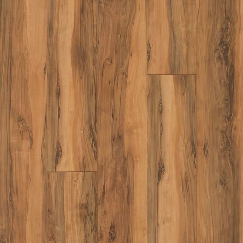 Studio + Spill Repel Aged Hickory 12-Mm T X 7-In W X 48-In L Waterproof Laminate Wood Flooring ( 19.63-Sq Ft / Carton )